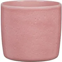 Scheurich Übertopf Solido 900 Ø 18 cm x 16 cm Rosea von Scheurich