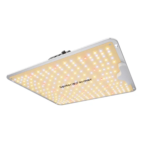 Spider Farmer SF1000 LED Grow Light – Smart Pflanzenlampe mit APP Steuerung - Hochwertige LED Grow Light für Innen- und Außenbereich, ideal für Pflanzenwachstum. Mit energieeffizientem Design und vielfältigen Dimmoptionen für optimale Lichtverhältnisse.