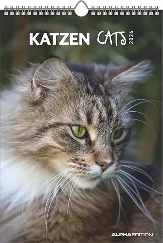 Katzen 2026 Bildkalender 23,7 x 34 cm - Kalender mit Platz für Notizen, harter Einband und mehrsprachige Monate in Deutsch, Französisch, Italienisch und Englisch – perfekt für Katzenliebhaber!