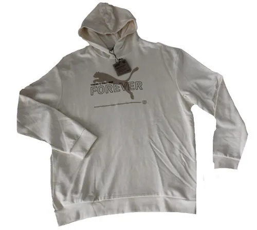 Produktbild HERREN SWEATSHIRT KAPUZENHOODIE HOODIE BEIGE SANd PUMA 673293 Gr. L NEU