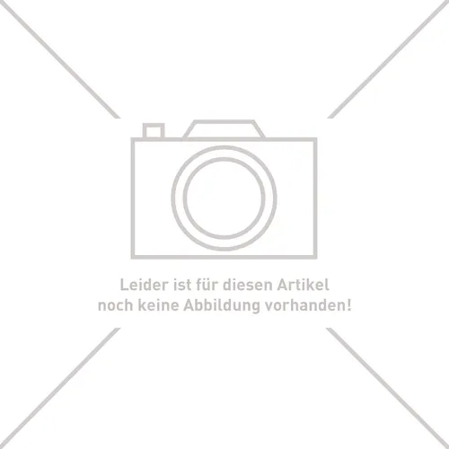 Haas + Sohn Rauchlochabdeckung für Kaminofen Gastein und Wien schwarz