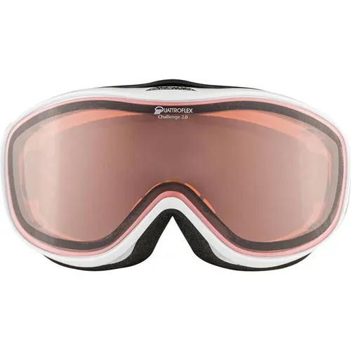 ALPINA Ski- und Snowboardbrille 
