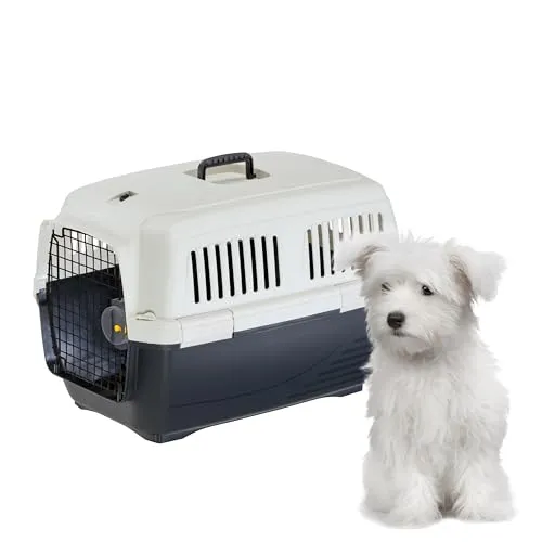 Ferplast Katzentransportbox Clipper 3, Hundetransportbox, IATA-zugelassene Reisebox, Haustiertransportbox für kleine Hunde und Katzen bis 15 kg