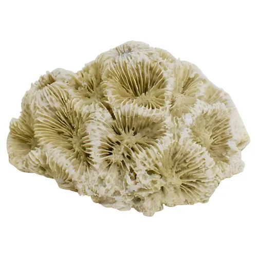 Nobby Aquariendeko Aquariendekoration Koralle III