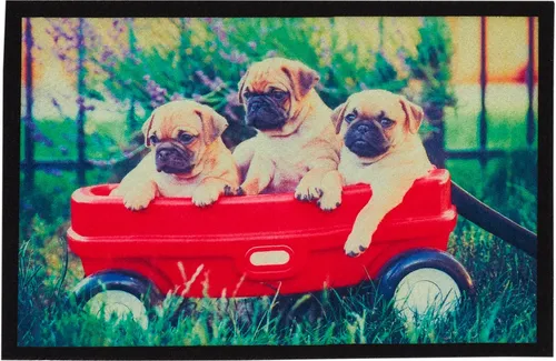 Fußmatten Rot von Andiamo