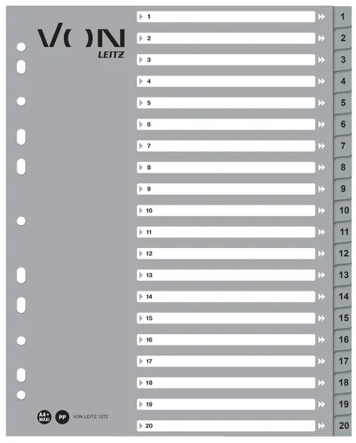 LEITZ Register, 1-20, DIN A4 12720085