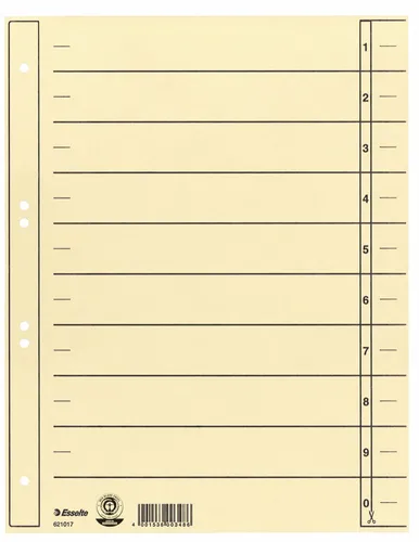 Esselte Karton Trennblätter DIN A4 Überbreite chamois 100 Trennblätter