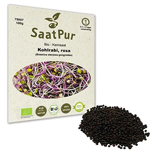 BIO Keimsprossen Rosa Kohlrabi Samen für die Sprossenanzucht Sprossen Microgreen Mikrogrün 100 g
