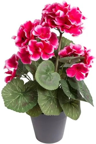 Dekorationen von Botanic Haus