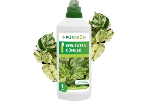 Purgrün Efeututen Dünger 1L von Purgrün