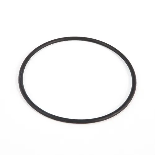 Bestway Filter Cap Seal für 1500-gal Filter Pump Gs