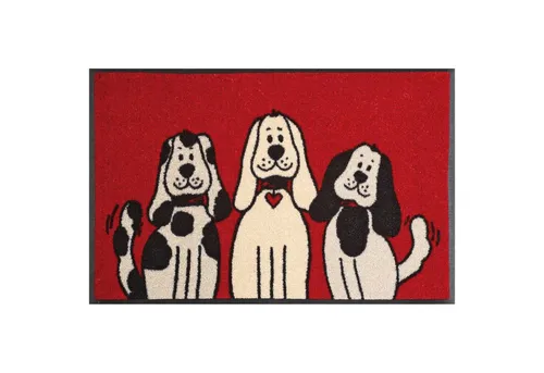 FLOORNOVO Schmutzfangmatte Trend Design 75 x 50 cm - Antirutsch und waschbar - Praktische und stilvolle Fußmatte für alle Räume. Mit Antirutschbeschichtung und waschmaschinengeeignet für einfache Reinigung. Idealer Schutz vor Schmutz und Nässe.