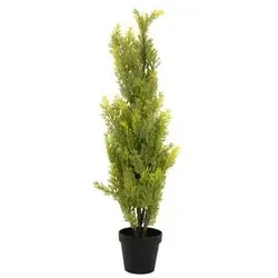 Produktbild Europalms Zypresse, Leyland, 90cm