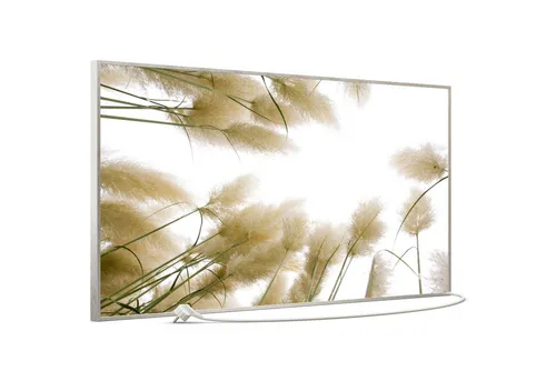 STEINFELD Heizsysteme Infrarotheizung Bild 750W, 120x60cm, Made in Germany, 7J Garantie, mit Thermostat, viele Motive