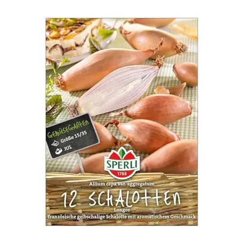 Französische Schalotten 'Longor', gelb, 10 Zwiebeln in gelb von SPERLI