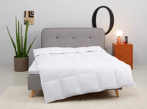 Daunenbettdecke OTTO HOME 