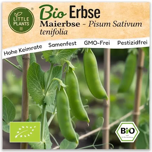 Saatgut von Little Plants