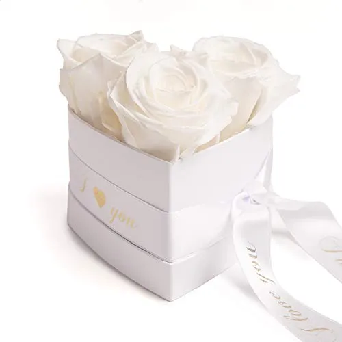 Rosemarie Schulz Heidelberg Infinity Rosenbox Herz - 10x12cm 3 Ewige Weiße Rosen Haltbar 3 Jahre - Geschenke zum Valentinstag für Sie - Valentinsday Gift Box for Her White Roses (I Love You, Weiß)