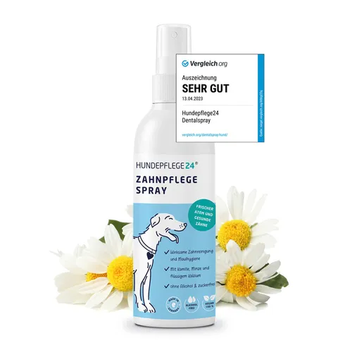 HUNDEPFLEGE24 - Zahnpflege Dentalspray für Hunde & Katzen - 125ml