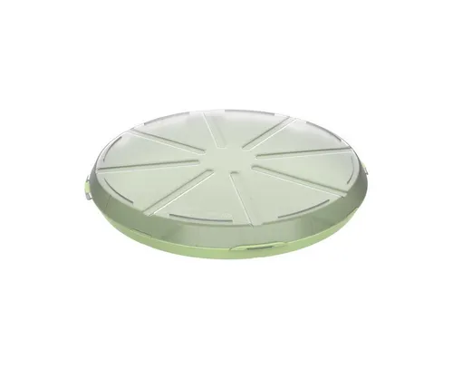 elasto Aufbewahrungssystem Pizzabox 'ToGo' robuste Transportbox Ø 36 cm für unterwegs