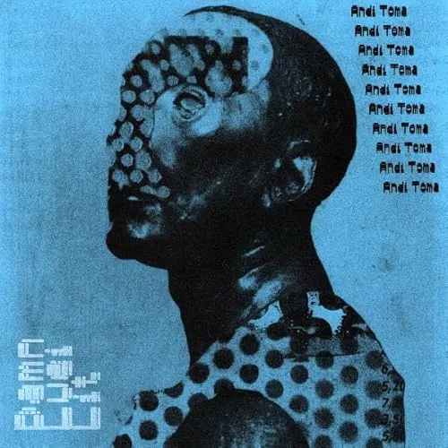 Damn Lieu Lit [Vinyl LP]