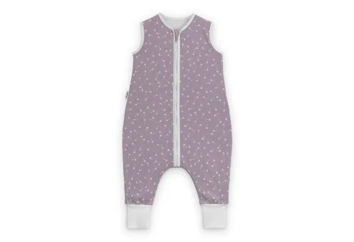 Ehrenkind Babyschlafsack Schlafsack mit Füßen 2.5 TOG, Bio-Baumwolle, Ganzjahr (Standard by OEKO-TEX, 100% Bio-Baumwolle, Ganzjahresschlafsack mit Beinen, 2.5 TOG), Baby Schlafsack, Schlafsack Baby