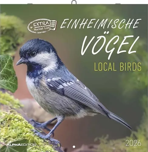 Alpha Edition - Einheimische Vögel Kalender 2026 – Wandkalender 30×30 cm (30×60 geöffnet) mit Vogelmotiven & Platz für Notizen, Broschürenkalender mit ... Bildkalender für Vogelliebhaber: Local Birds