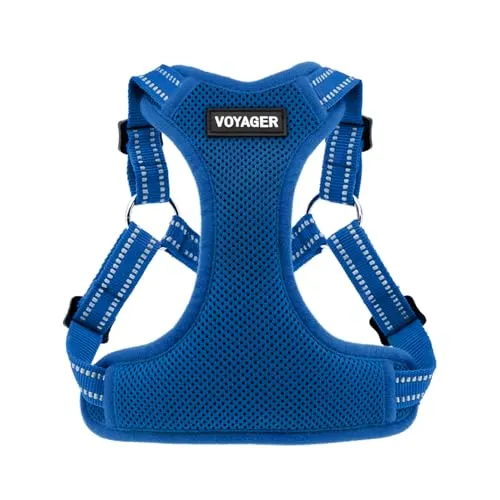 Voyager Verstellbares Hundegeschirr mit Reflektorstreifen by Best Pet Supplies - Strapazierfähige Ganzkörperweste ohne Zugkraft mit Leinen-D-Ring, atmungsaktiv, Königsblau, size L