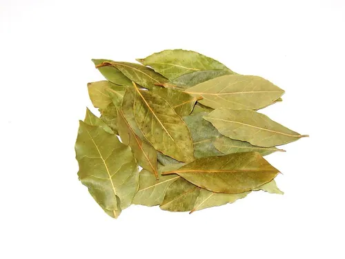 Lorbeerblätter ganz 250g 1kg/74,40 € g1 Tee-Meyer