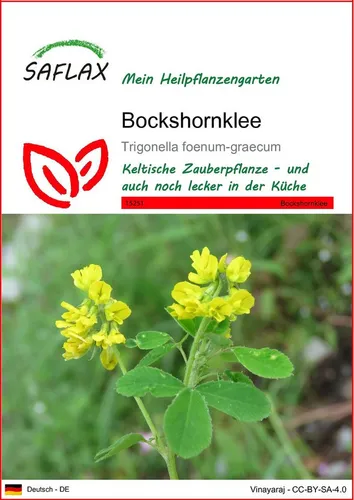 SAFLAX Blumensamen SAFLAX - Samen - Bockshornklee