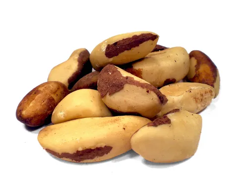  250g BIO Paranuss Kerne Nüsse Rohkost Vegan 30 EUR/kg