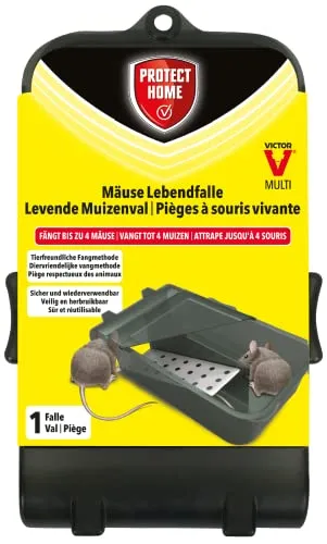 PROTECT HOME Mäuse Lebendfalle Multi zum Fangen von bis zu 4 Mäusen im Haus und Garten, 1 Stück