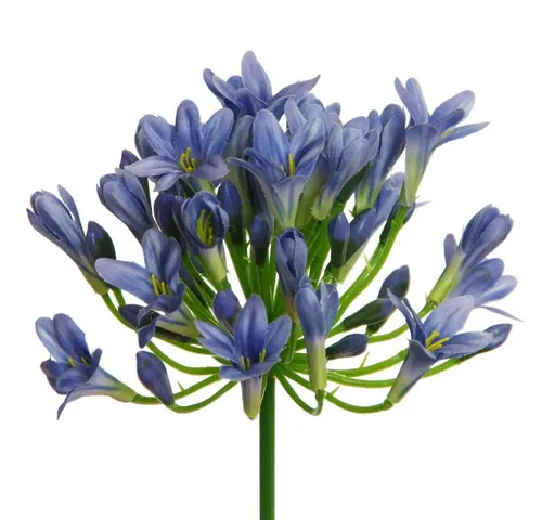 Kunstblume Kunstblume AGAPANTHUS ca 75cm. Liebesblumen, Schmucklilie, Floratexx GmbH, Höhe 75.00 cm
