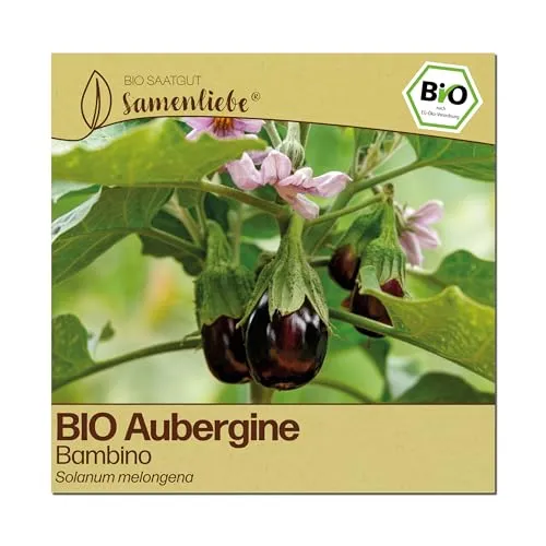 Samenliebe BIO Auberginen Samen | Bambino in schwarz von Samenliebe