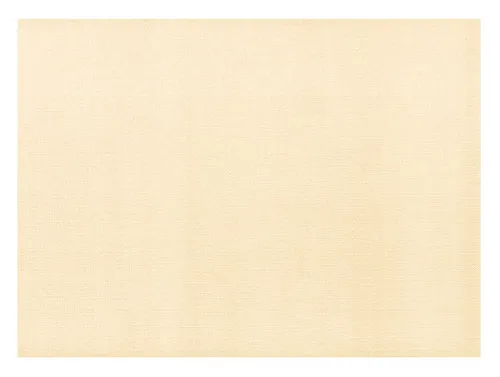 AVA Platzset, Tischsets aus Papier 43x30cm 50 Stück Champagner