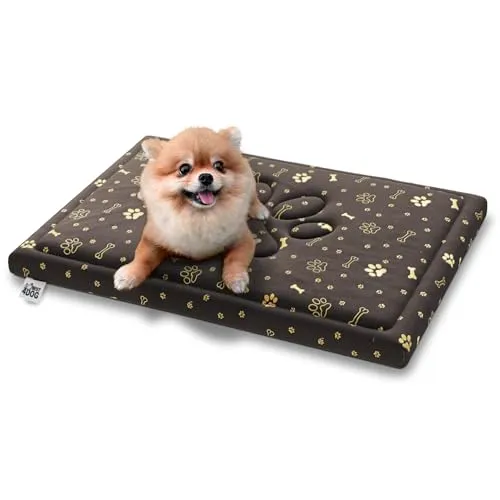 FDM Puddy Hundebett für Kleine Hunde 70x60 cm - Hundebetten - Wasserdicht und rutschfest, mit Polyurethanschaum für optimalen Komfort und abnehmbarem, waschbarem Bezug für einfache Pflege.