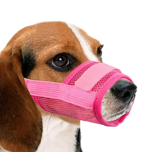 YAODHAOD Hunde Maulkorb,Nylon-Mesh, atmungsaktiv und bequem ,schnell sitzende Hundemündung mit verstellbaren Trägern,erhindert Das Beißen,Kauen Und Bellen(M, Pink)