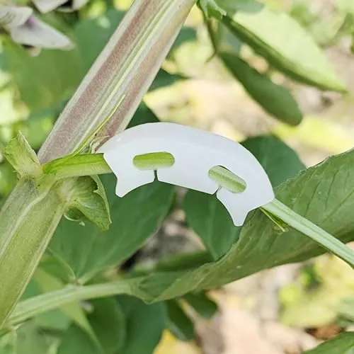 Tomatenstützklammern Rispenbügel Tomaten Paprika Gurken Rispenhalter 100 STK.