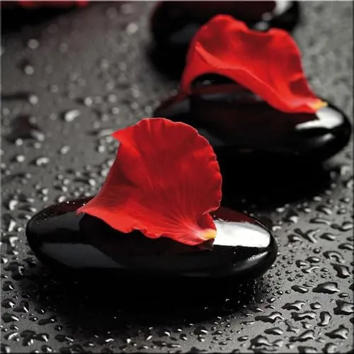 artissimo, Glasbild, 30x30cm, AG9140A, Zen rot, Steine und Blütenblätter, Bild aus Glas, moderne Wanddekoration aus Glas, Wandbild Wohnzimmer modern