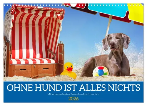 Sigrid Starick | Ohne Hund ist alles nichts - Kalender 2025 - Kalender mit 14 Seiten, präsentiert wunderschöne Bilder von Hunden und deren faszinierenden Eigenschaften. Ideal für Tierliebhaber und Hundebesitzer.