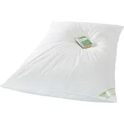 franknatur Federbettdecke Ballonbett 100% Federn, 4kg