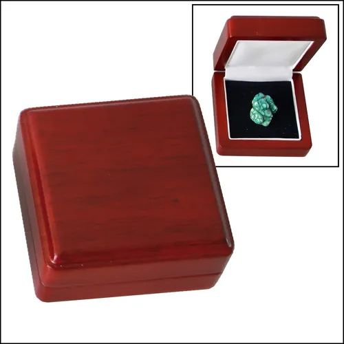 SAFE Holz-Münzetui 7912 NEU (Bis 90mm Münzdurchmesser)