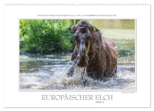 Ingo Gerlach GDT | Emotionale Momente: Europäischer Elch Part II - Kalender 2025 mit 14 Seiten, der die Schönheit des europäischen Elches in der Natur festhält. Ideal für Tierliebhaber und Naturfreunde, gestaltet von Ingo Gerlach GDT.