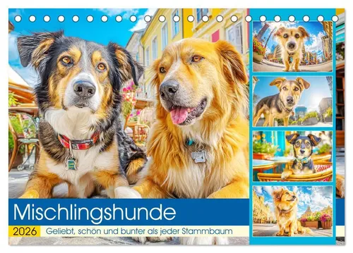 Rose Hurley | Mischlingshunde Kalender 2025 - Farbenfroher Kalender mit zauberhaften Hunden in lebendigen Stadtszenen. Ideal für Tierliebhaber und als Geschenk für jeden Anlass.