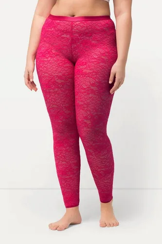 Ulla Popken Feinstrumpfhose Strumpf-Leggings mit Spitze in Rosa 58/60 - Modische Feinstrumpfhose mit eleganter Spitze, Größe 58/60. Ideal für besondere Anlässe, pflegeleicht und bequem. Perfekt kombinierbar für einen stilvollen Look.