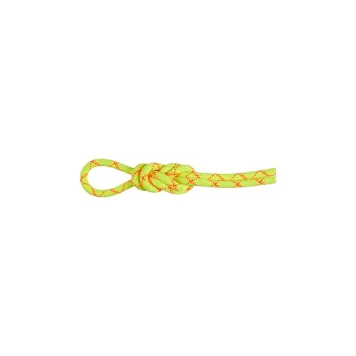 Mammut 9.5 Alpine Core Protect Dry Rope - 80 m Einfachseil in Gelb - Dynamisches, imprägniertes Einfachseil mit hoher Schnittfestigkeit, ideal für Eisklettern und Alpinklettern. Länge: 80 m, Farbe: Gelb. Entdecken Sie weitere Mammut Produkte im Bergfreunde.de Online-Shop!
