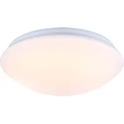 LUXUS LED Deckenlampe dimmbar 1-flammig 51670128 - Elegante LED Deckenleuchte mit 1 Lichtquelle, dimmbar und energiesparend. Ideal für verschiedene Räume, sorgt für angenehmes Licht bei einer Lebensdauer von 20.000 Stunden.