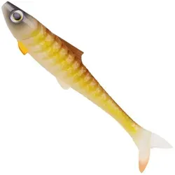 Zeck Angeln & Fischen von Zeck