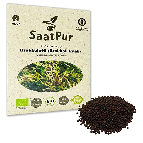 SaatPur Bio Keimsaat - Brokkoli Raab | Brokkoletti | Ur-Brokkoli| Keimsprossen Sprossen Microgreen - 30 g Lebensmittel Qualität