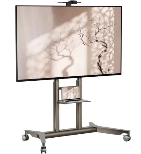 Mobiler TV-Ständer für 55